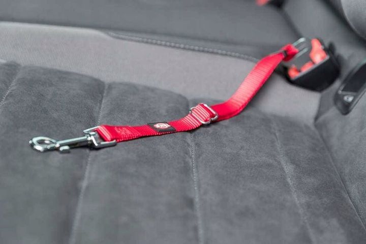 Trixie SZELKI SAMOCHODOWE dla Kota 20-50cm zdjęcie 3