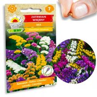 ZATRWIAN WRĘBNY MIX UNIKATOWYCH KOLORÓW NASIONA KWIATÓW DO suchych BUK