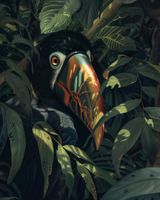 Plakat 40x50cm Skryty Tukan