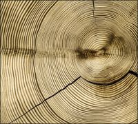 Tło fotograficzne Produktowe FLAT LAT Kulinarne