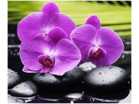 60X50CM KAMIENIE STORCZYKI OBRAZ ŚCIAN DREWNIANE