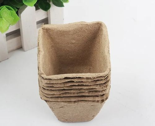 DONICZKI TORFOWE NA ROZSADY SADZONKI 8CM 20SZT na Arena.pl