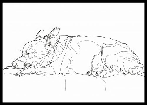 Plakat 59,4x42cm Śpiący Psiak na Arena.pl