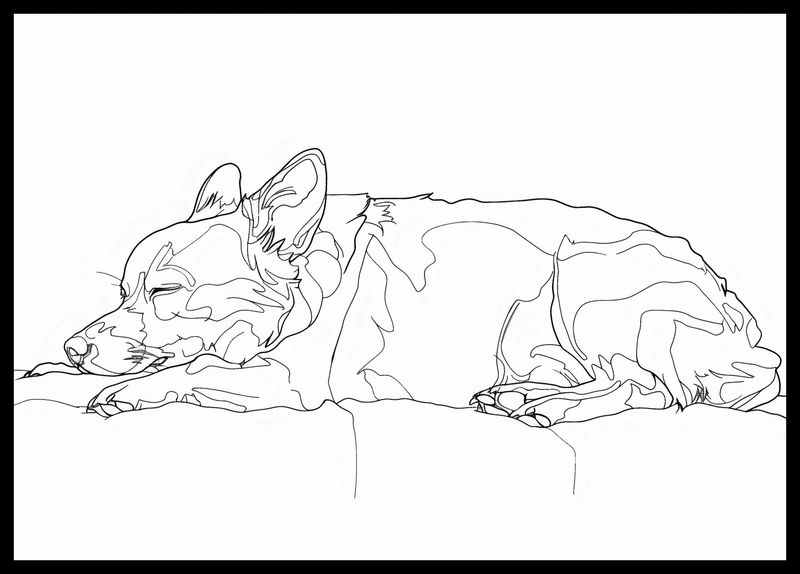 Plakat 59,4x42cm Śpiący Psiak zdjęcie 2