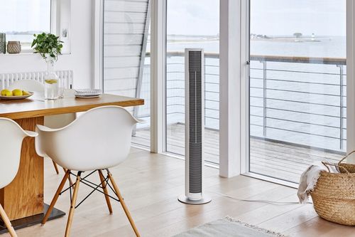 WENTYLAOTR KOLUMNOWY PETER + HIGROMETR SELINA na Arena.pl