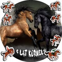 OPŁATEK NA TORT 20CM - KONIE KOŃ KONIKI HOBBY + IMIĘ + ! 15CM 18CM