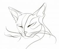 Plakat 60x50cm Linijny Kot