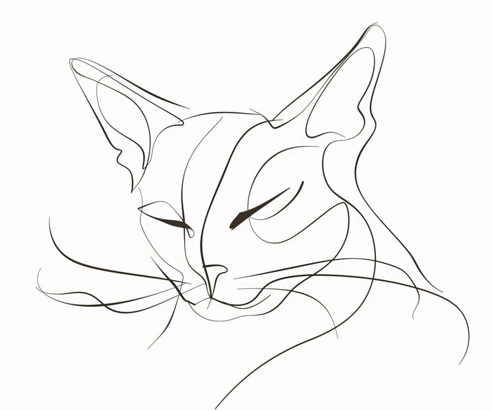 Plakat 60x50cm Linijny Kot zdjęcie 1