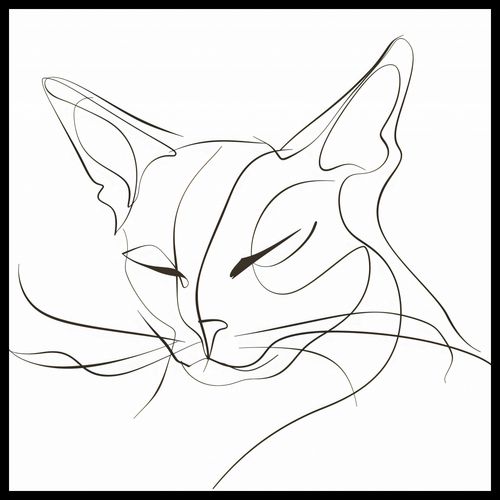 Plakat 80x80cm Linijny Kot na Arena.pl