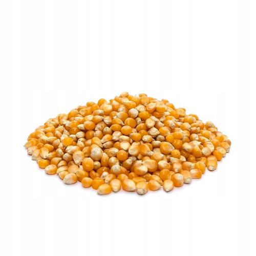 Kukurydza popcorn ziarno do prażenia bez soli 99,8% OTWARTYCH ZIAREN 25kg na Arena.pl