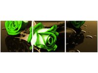 90 80CM OBRAZ T3 ELEM WENGE LIMONKA DRUK ŚCIENNY