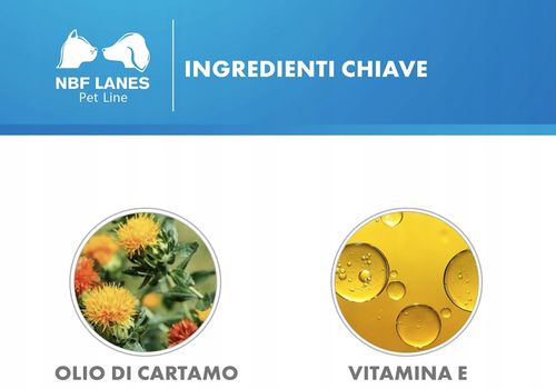 CIELLEA PET RECOVERY 30 KAPSUŁEK -  NBF Lanes na Arena.pl