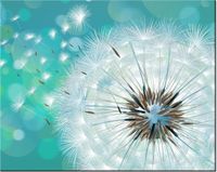 40CM 50CM OBRAZEK ŚCIENNY PUSZYSTY DMUCHAWIEC DRUK PŁÓTNO OBRAZ