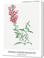 Obraz 50x70cm Design Dragon Flowers, Redoute Vintage do Salonu