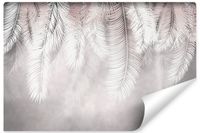 Fototapeta LIŚCIE Palmowe Beton Abstrakcja Natura 450cm x 300cm