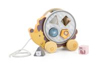 ND18_3259 Viga 44025 PolarB Jez Jerzy 2w1 sorter