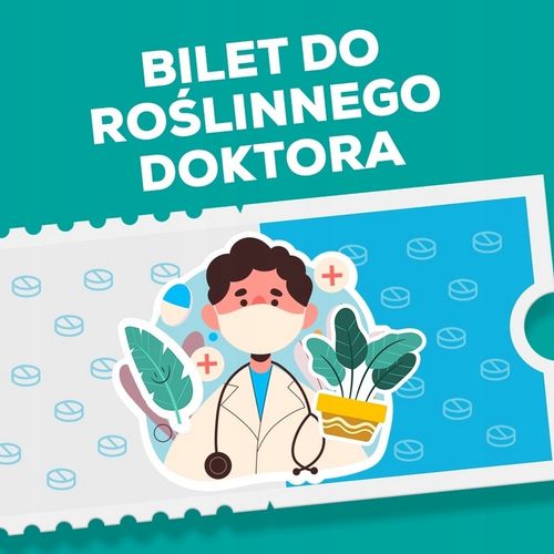 Sansevieria'Moonshine' KSIĘŻYCOWA PIĘKNOŚĆ -Sansewieria Wytrzymały Sukulent na Arena.pl