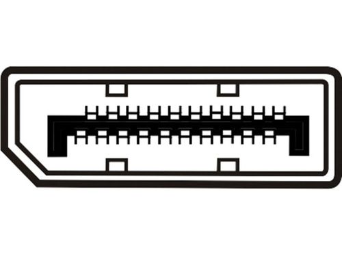 EDNET  DisplayPort > DVI Adapter na Arena.pl