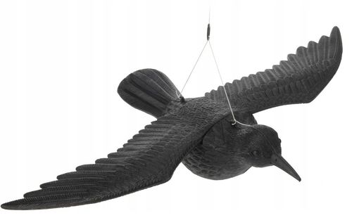 KRUK DUŻY NA BALKON ODSTRASZACZ PTAKÓW W LOCIE na Arena.pl