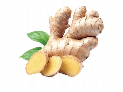 WIELOPAK Napój Piwo Bezalkoholowe Imbirowe Ginger Beer 12x330ml OLD na Arena.pl