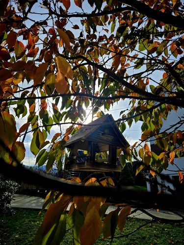 Drewniany KARMNIK XXL DLA PTAKÓW Solidny karmik opalane drewno na Arena.pl