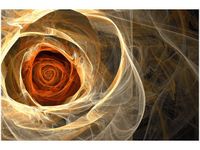 60X40CM RÓŻA KTALNA OBRAZ