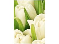 50X70CM DELIKATNE TULIPANY OBRAZ PION ŚCIAN