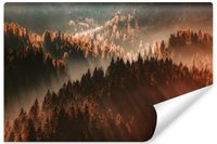 Fototapeta Do Salonu LAS We Mgle Wschód Słońca Pejzaż 405cm x 270cm