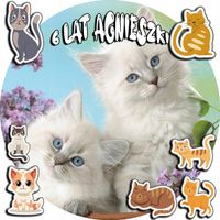 OPŁATEK NA TORT 20CM - KOTEK KOT KOCI KOTKI + IMIĘ + ! 15CM 18CM