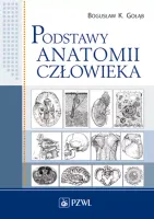 Podstawy Anatomii Człowieka