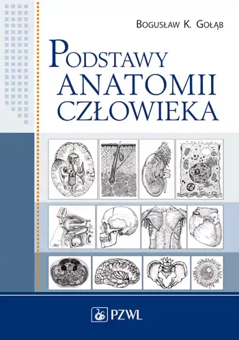 Podstawy Anatomii Człowieka na Arena.pl