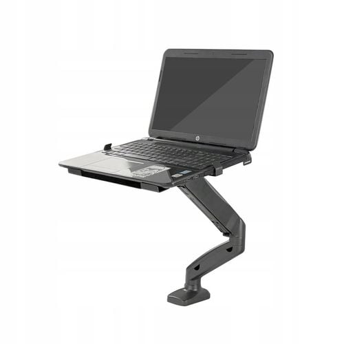 SILVER MONKEY do monitora UM-200 na Arena.pl
