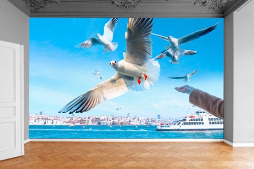 Fototapeta LATAJĄCE MEWY WIDOK NAD OCEANEM 130x80 na Arena.pl