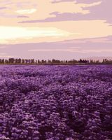 Malowanie po numerach – Południe Francji - 40x50 rama