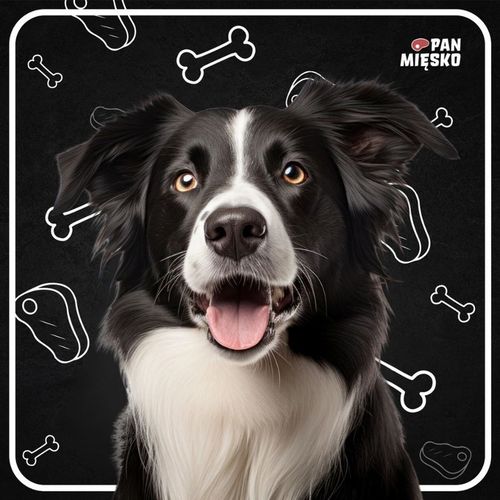 Pan Mięsko Karma sucha dla psa WIEPRZOWINA z DZIKEM chrupki XL 20kg na Arena.pl