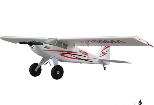 Timber BNF Basic na Arena.pl