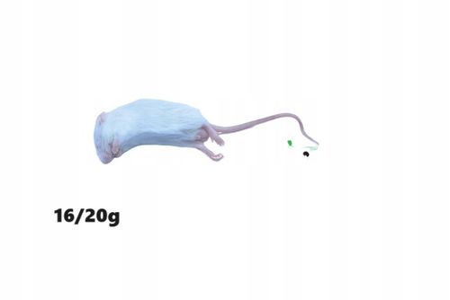 Myszy mrożone 1 Kg - 16/35g na Arena.pl