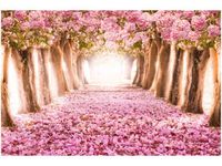 60X40CM ROMANTYCZNA ALEJKA OBRAZ