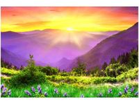 60X40CM KWIECISTA ŁĄKA OBRAZ