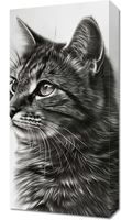 Obraz 30x60cm Kocie Wpatrzenie