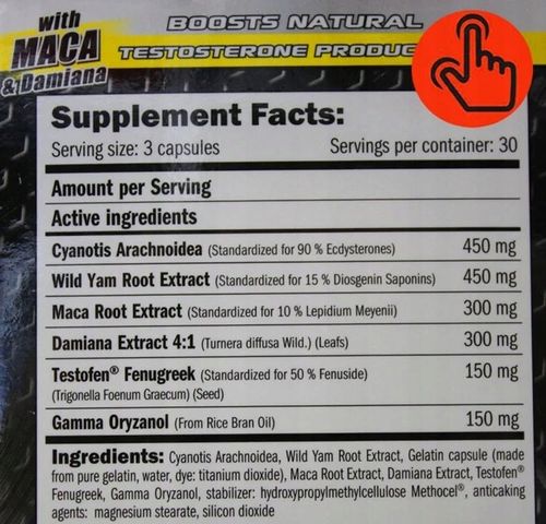 Booster Testosteronu, Libido - ecdysteroidy ECDYSTERON TESTOSTERON TABLETKI na Arena.pl