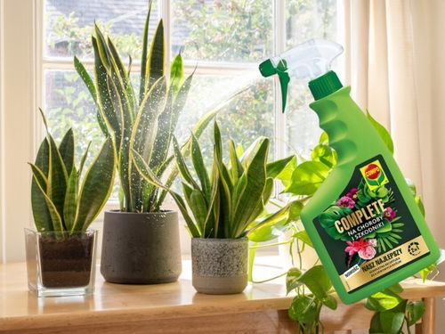 COMPO COMPLETE 2w1 NA CHOROBY I SZKODNIKI MSZYCE PRZĘDZIORKI WEŁNOWCE PLEŚŃ na Arena.pl