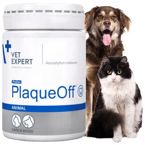 Proszek do zębów preparat dla psów i kotów Vet Expert Plaque Off 20 g na Arena.pl