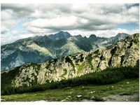 50X70CM TATRY OBRAZ POKOJU DREWNINE