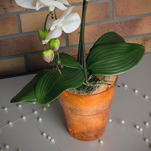 Doniczka Oslonka pod Storczyk ORCHID 14 pomarańcz na Arena.pl