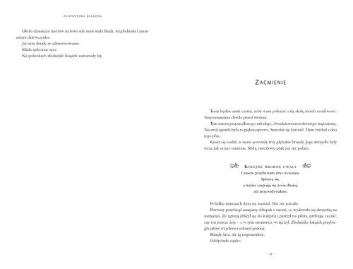 Poruszająca ksiażka dla młodzieży nastolatków - Złodziejka książek - 2022 na Arena.pl