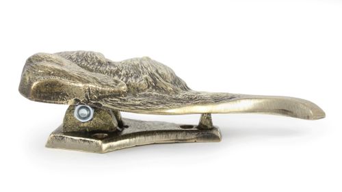 Border Terier - kołatka - 315 na Arena.pl