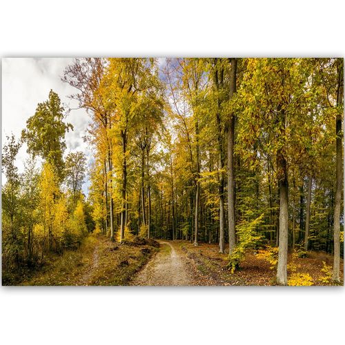 Deco Panel, Jesienne drzewa 90x60 na Arena.pl