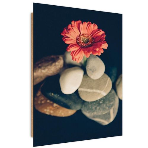 Deco Panel, Martwa natura 6 30x40 na Arena.pl