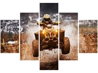 OBRAZ OFFROAD QUAD
